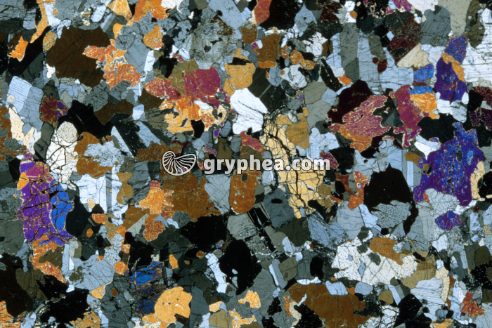 Gabbro rubané LPA x3,5 - gryphea.com